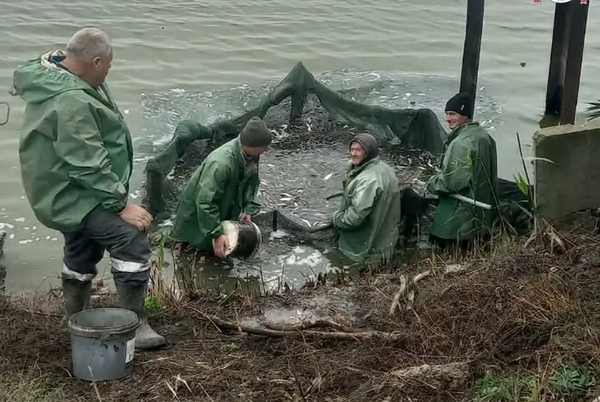 Die größten Seen der Region Odesa sollen einer umfassenden Fischzucht unterzogen werden.