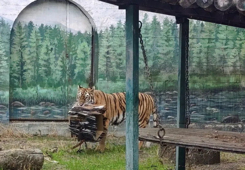 Ein millionter Kredit hat die Versorgung des Ozeanischen Zoos nicht gestoppt.